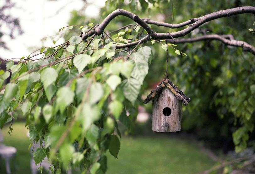 Birdhouse handing from a tree branch in a garden