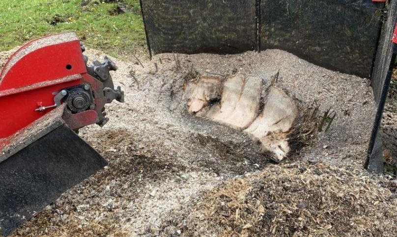 Stump grinder, tree stump grinding machinery used by Cheshire Trees