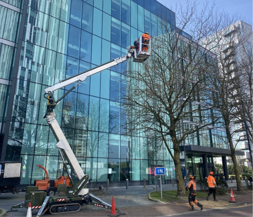 Tree surgeon conducting tree care and maintenance on a homeowner’s tree, like the service offered by Cheshire Trees